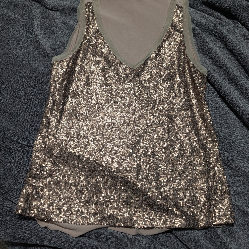 Source Unknown Glittering Silver V-Neck Blouse